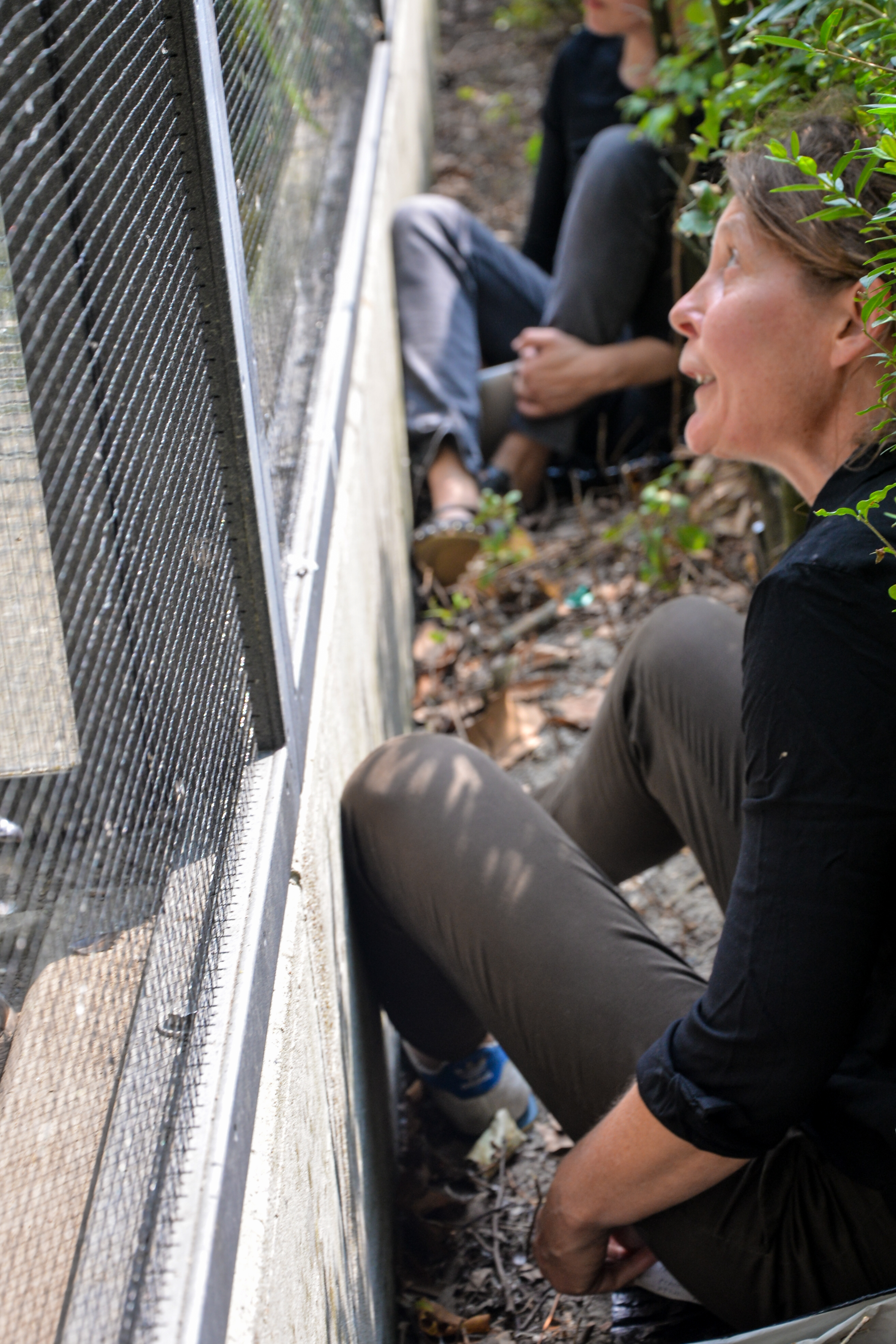 18. August 2018-1354320076